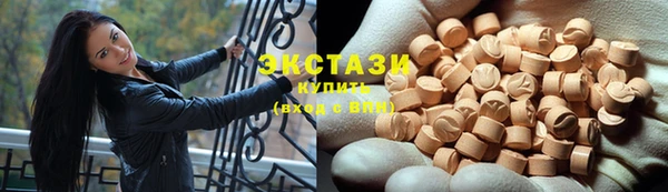 мдпв Богородицк