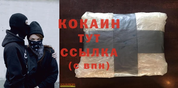 мдпв Богородицк