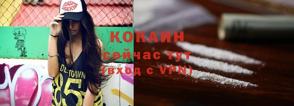 мдпв Богородицк