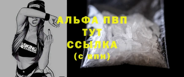 гидра Бердск