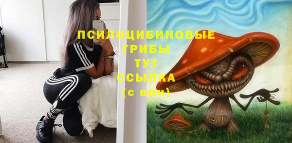 мдпв Богородицк