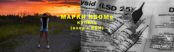 мдпв Богородицк